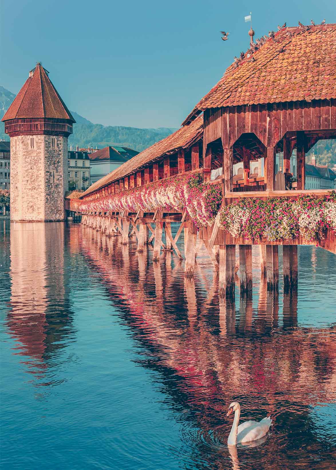 德瑞．旅遊講座．台北場